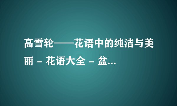 高雪轮——花语中的纯洁与美丽 - 花语大全 - 盆栽百科网