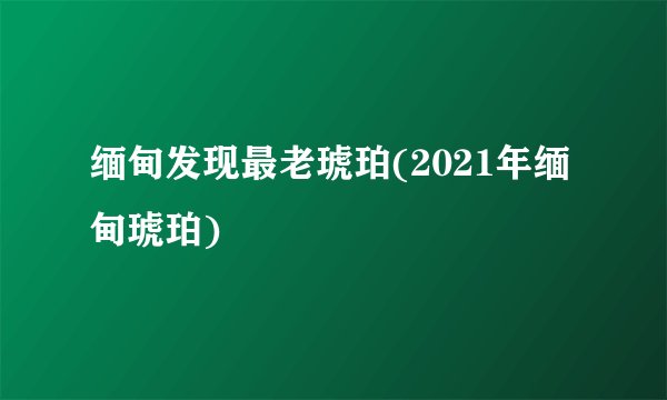 缅甸发现最老琥珀(2021年缅甸琥珀)
