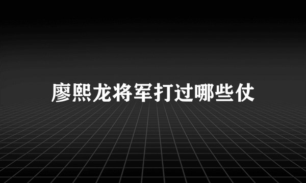 廖熙龙将军打过哪些仗
