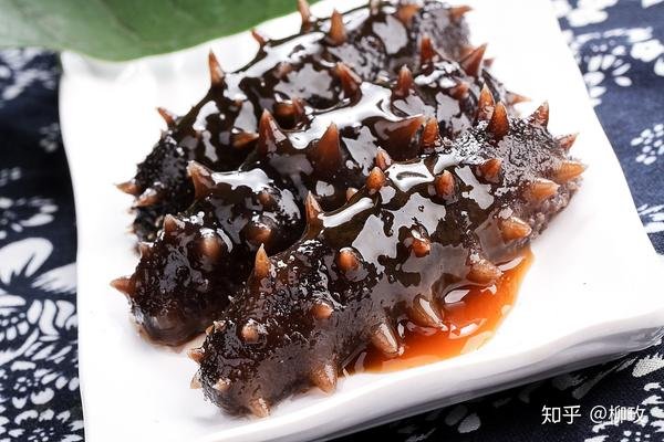 上等的海参多少钱一斤
