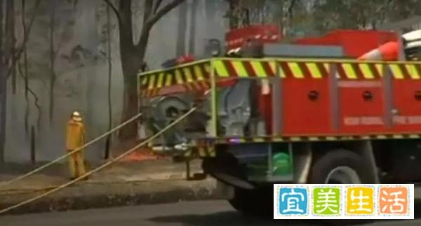 搬起石头砸自己脚，澳大利亚的“紧急状态”，一言难尽...