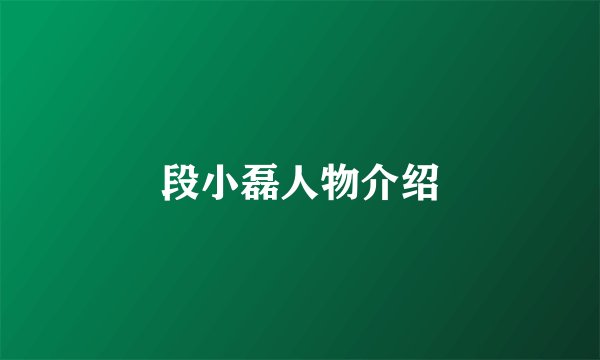 段小磊人物介绍