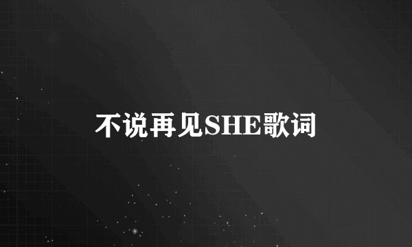 不说再见SHE歌词