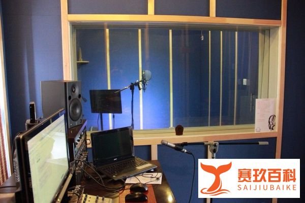 用cool edit pro怎么录制音频？