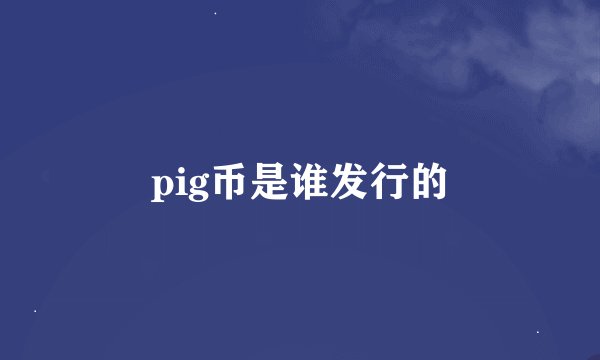 pig币是谁发行的