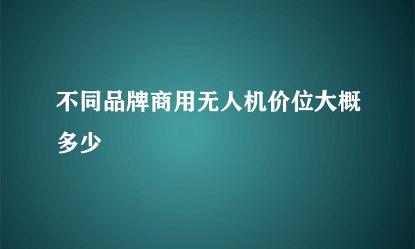 不同品牌商用无人机价位大概多少