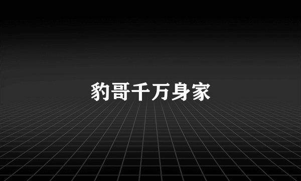 豹哥千万身家