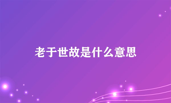 老于世故是什么意思
