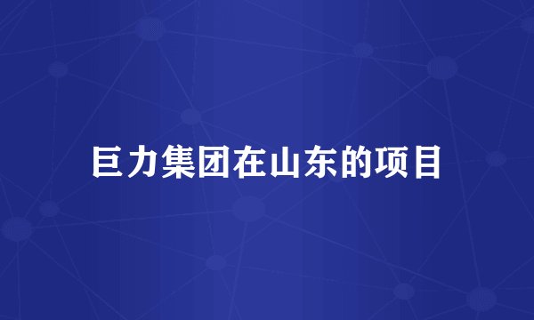 巨力集团在山东的项目