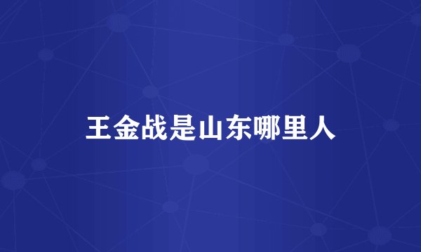 王金战是山东哪里人