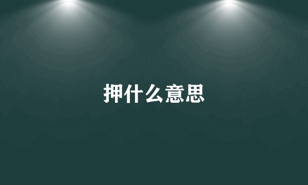 押什么意思