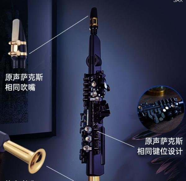 电吹管多少钱一只?国产电吹管哪个牌子好