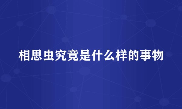 相思虫究竟是什么样的事物