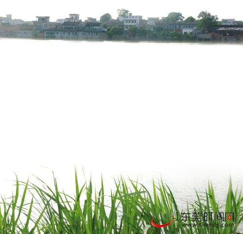 香植球的介绍