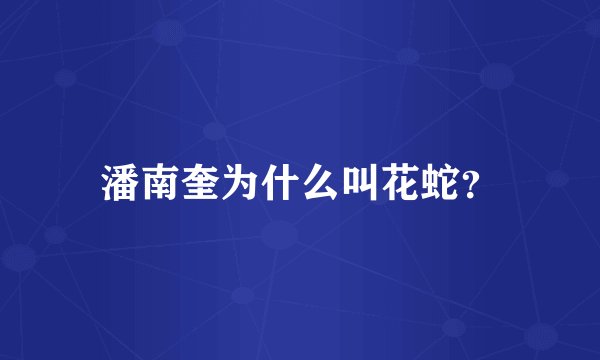潘南奎为什么叫花蛇？