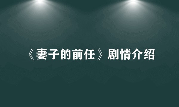 《妻子的前任》剧情介绍