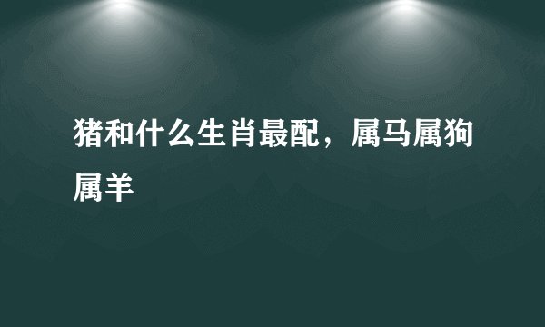 猪和什么生肖最配，属马属狗属羊