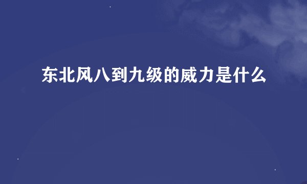 东北风八到九级的威力是什么