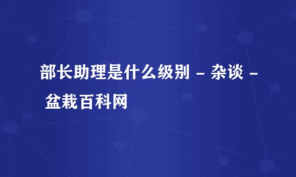 部长助理是什么级别 - 杂谈 - 盆栽百科网