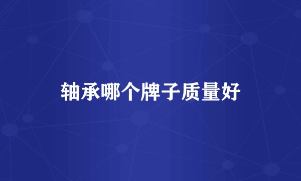 轴承哪个牌子质量好