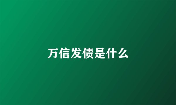万信发债是什么