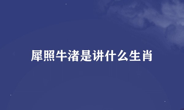 犀照牛渚是讲什么生肖