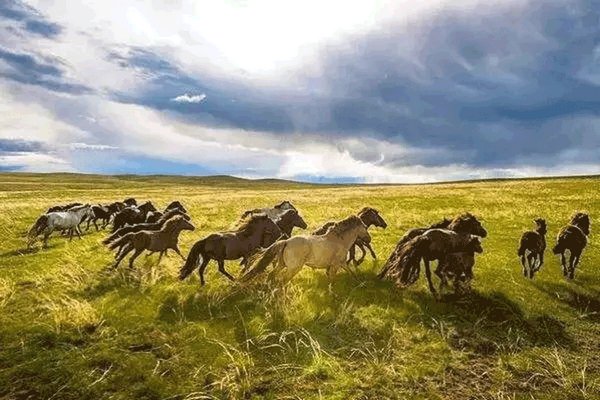 金戈铁马涉千里,沙场点兵耀中华什么意思