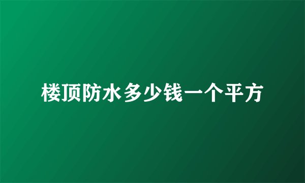 楼顶防水多少钱一个平方