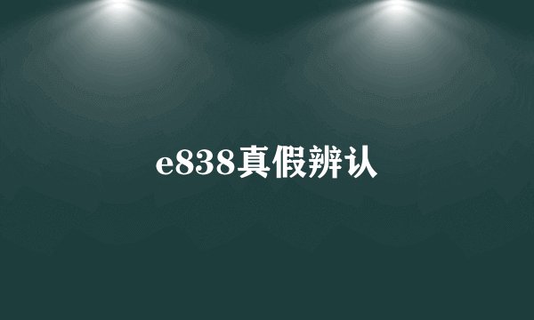 e838真假辨认