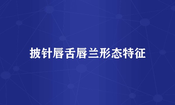 披针唇舌唇兰形态特征