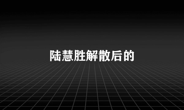 陆慧胜解散后的