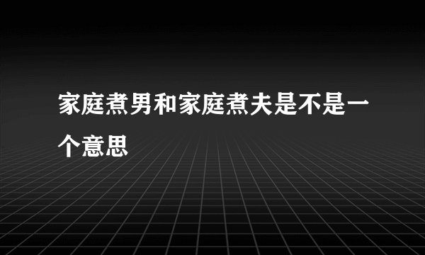 家庭煮男和家庭煮夫是不是一个意思