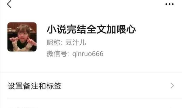 沈芜穆定北《半生枯等情归尘》沈芜穆定北清雅公主小说全文大结局