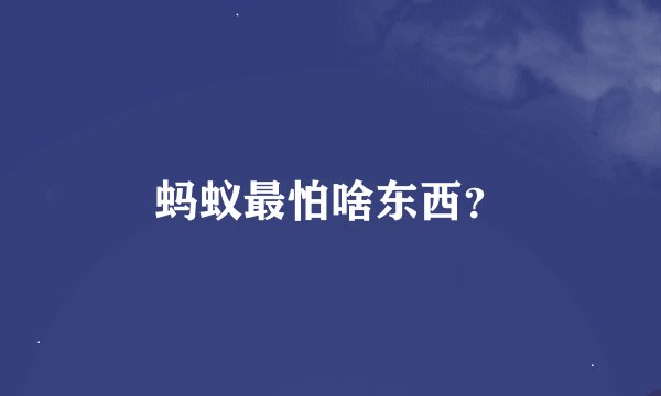 蚂蚁最怕啥东西？