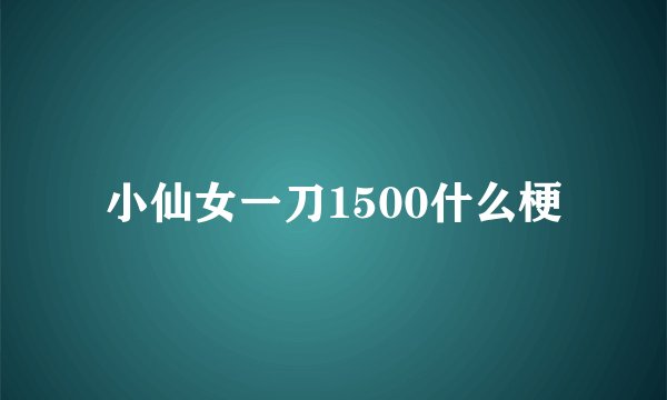 小仙女一刀1500什么梗