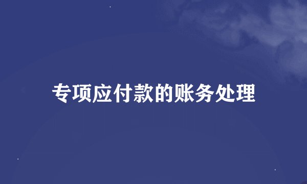 专项应付款的账务处理
