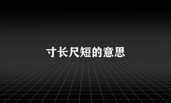 寸长尺短的意思