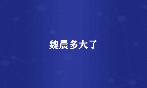 魏晨多大了