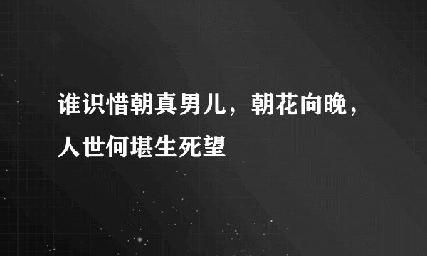 谁识惜朝真男儿，朝花向晚，人世何堪生死望