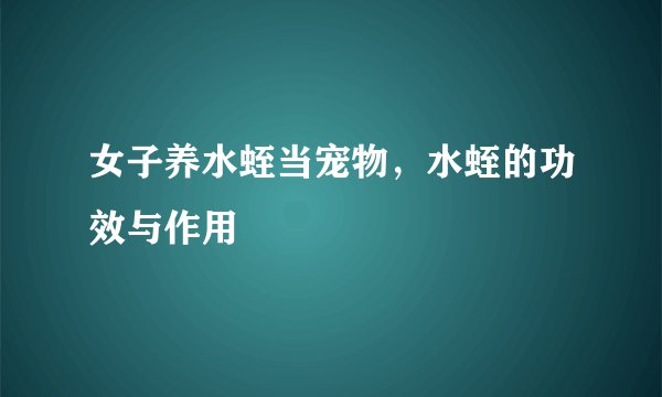 女子养水蛭当宠物，水蛭的功效与作用