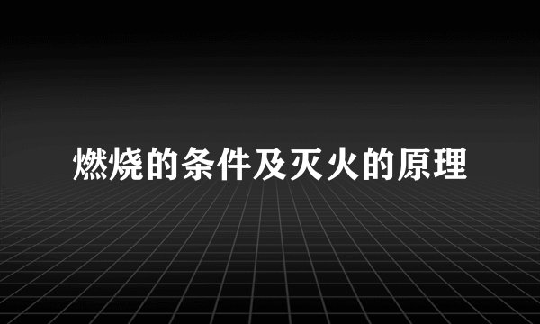 燃烧的条件及灭火的原理