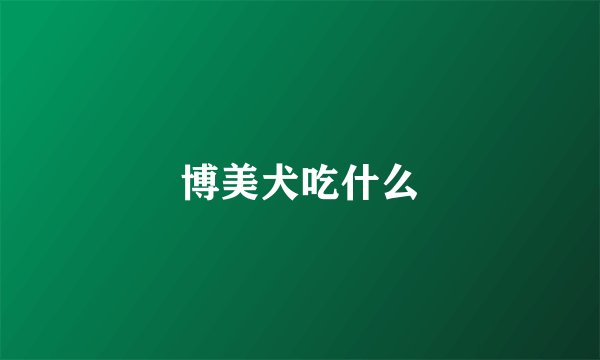博美犬吃什么