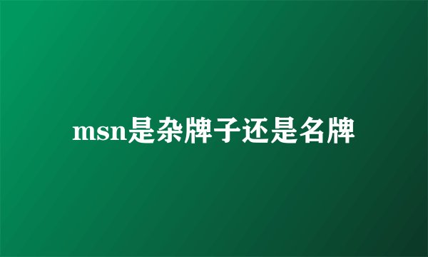 msn是杂牌子还是名牌