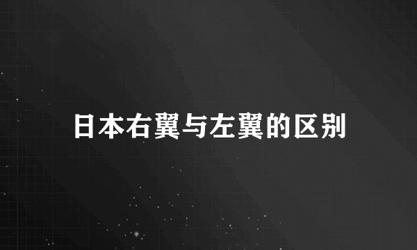 日本右翼与左翼的区别
