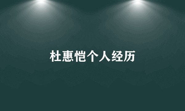 杜惠恺个人经历