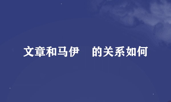 文章和马伊琍的关系如何