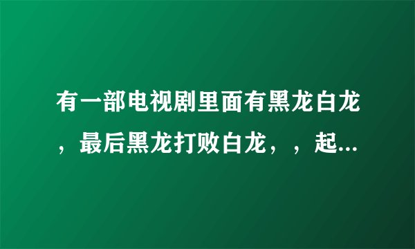 有一部电视剧里面有黑龙白龙,最后黑龙打败白龙,,起名叫黑龙江,谁知道电视剧的名字?
