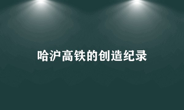 哈沪高铁的创造纪录