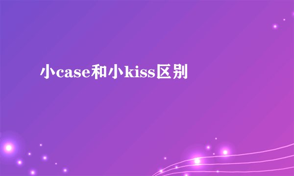 小case和小kiss区别
