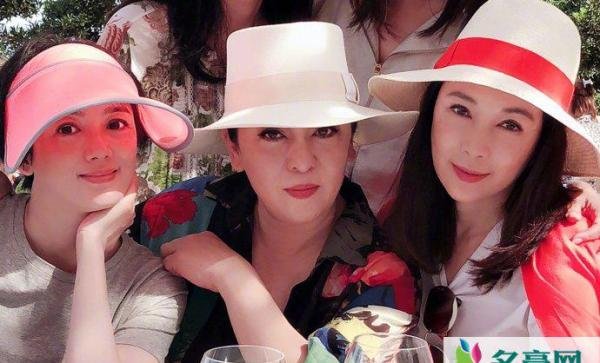 向华强女儿向永恒 向华强和陈岚到底有几个孩子
